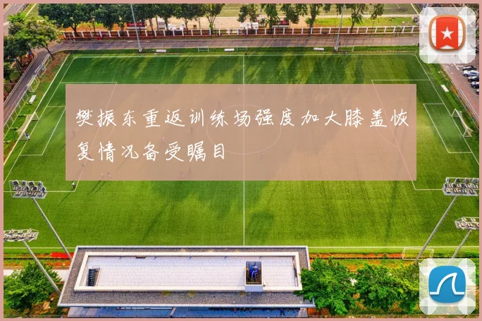 樊振东重返训练场强度加大膝盖恢复情况备受瞩目